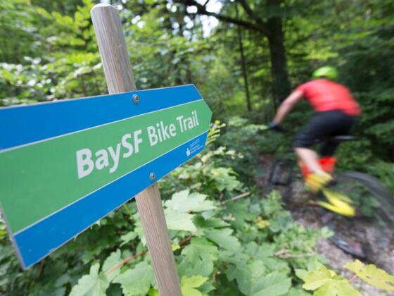 Mtb Trail in Kreuth