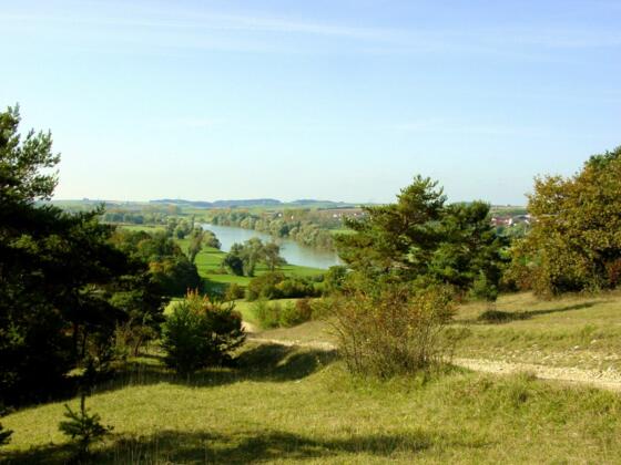 Donautal bei Neustadt a.d. Donau