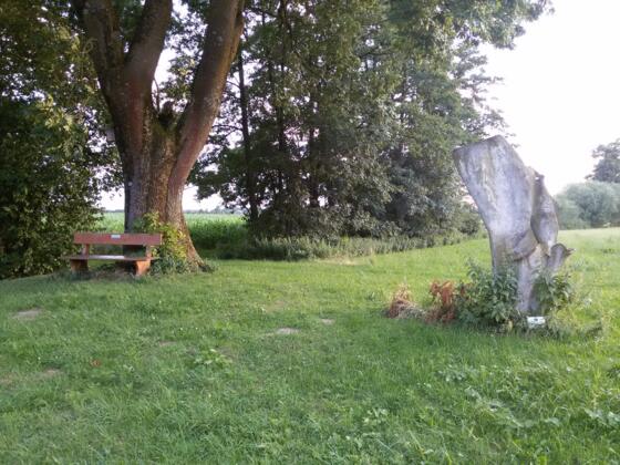 Naturkunstwerk: Holzskulptur des Erdinger Künstlers Fritz