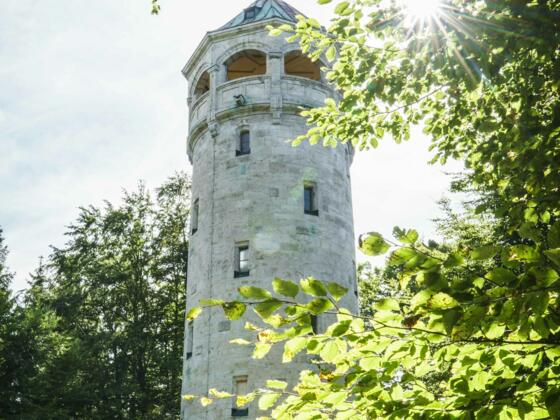 Der Aussichtsturm auf dem Taubenberg