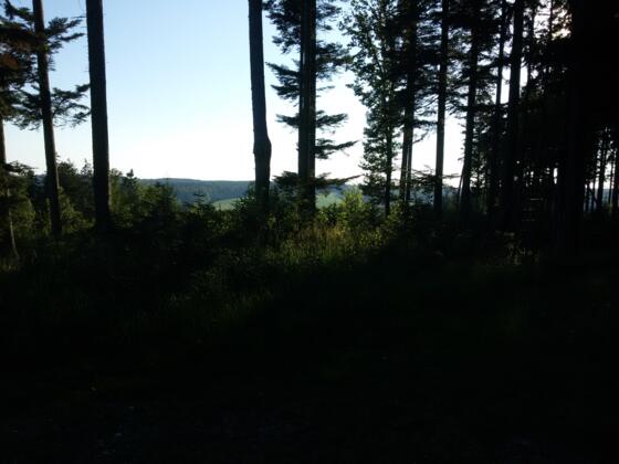 Ausblick vom Richinger Berg