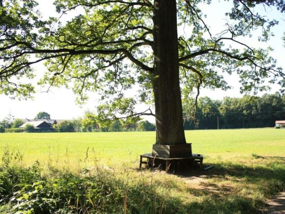 Wanderweg B3, Rastplatz gleich am Beginn der Tour