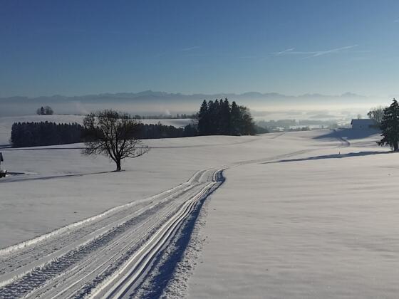 Langlaufloipe Schwabsoien