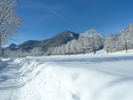 Blick zum Hirschberg