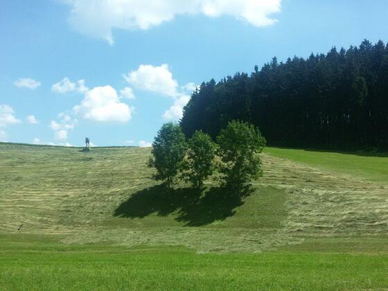 Weg nach Hinterholzhausen