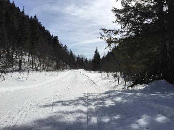 Langer Anstieg Richtung Stocker