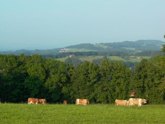 Blick von Stadlberg