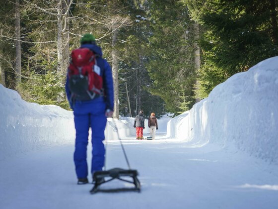 Rodelbahn Hirschberg