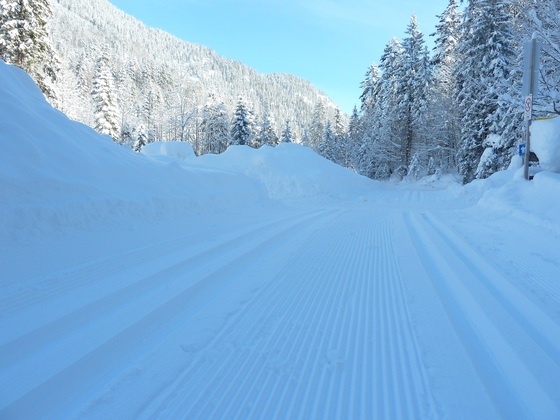 Blick vom Parkplatz Klamm in die Loipe