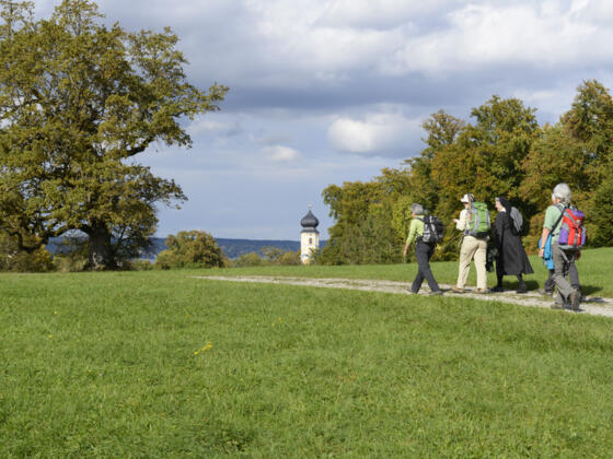 Jakobsweg Etappe 1b: Seeshaupt - Bernried