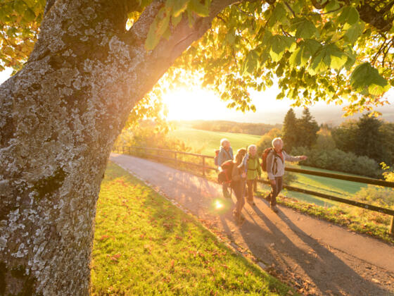 Wanderweg zum Hohen Peißenberg