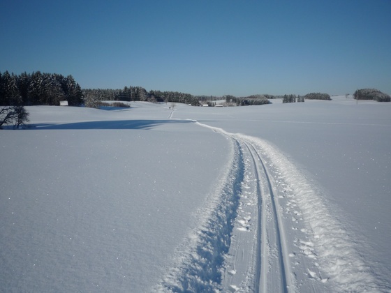 Loipe rund um Ingenried