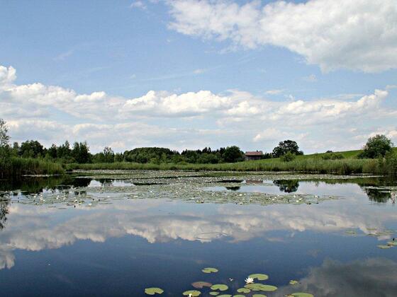 Unberührte Natur findet man auf der Gagast-Runde in Habach