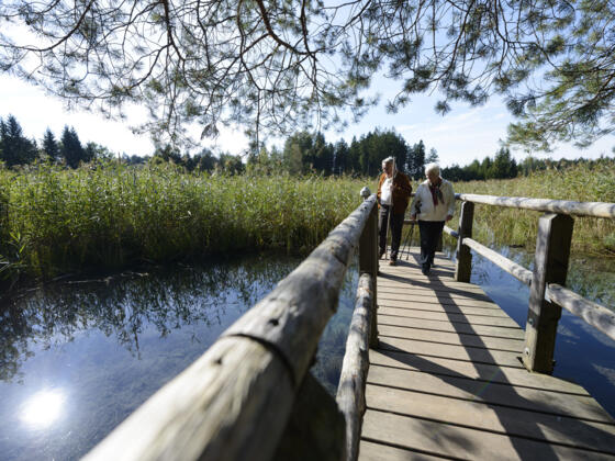 Großer Ostersee-Rundweg