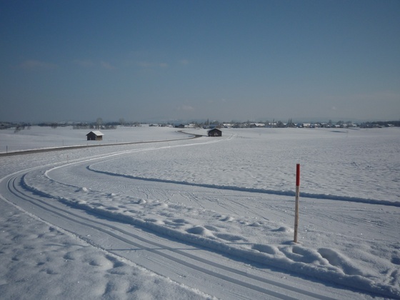Rundkurs Skating und Klassisch