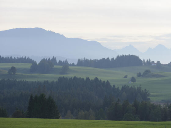 Penzberger Berghaldenpfad