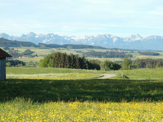 Blick in die Allgäuer Berge südlich von Krottenhill