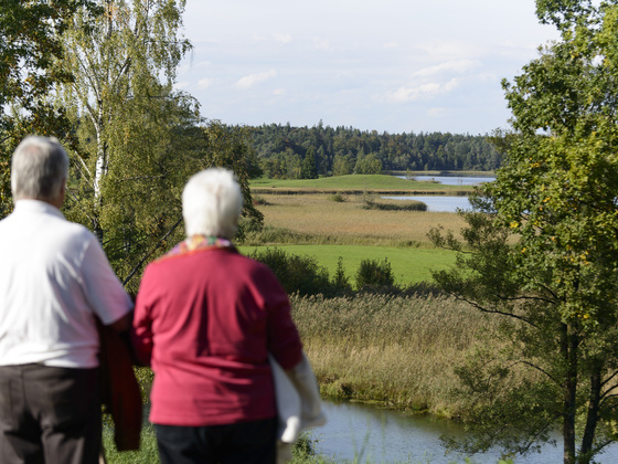 Kleiner Lauterbacher Waldweg