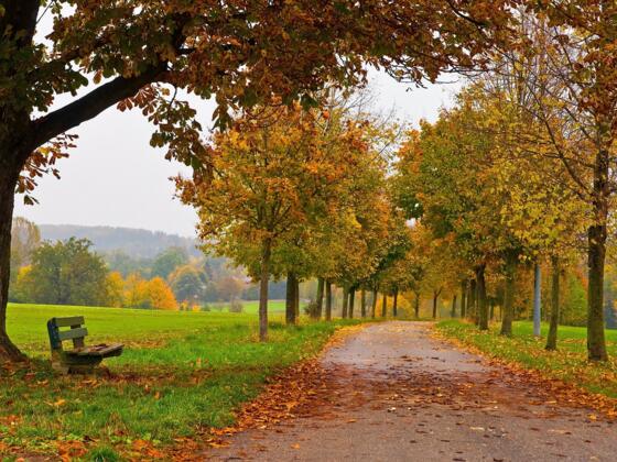 Herbst auf dem Weg zum Gut Dietlhofen in Weilheim