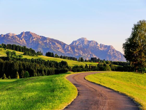 Blick auf den Säuling