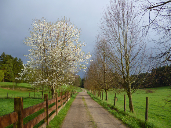 Postkarten-Idylle auf dem Weg vom Gut Schörghof in Richtung Süden.