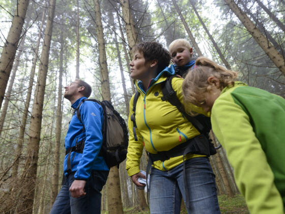 Wald- und Weiherschleife