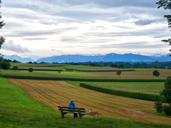 Schöner Blick vom Gögerl in die Alpen
