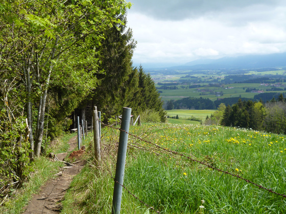 Im unteren Teil führt der Jägersteig panoramareich am Waldrand entlang.
