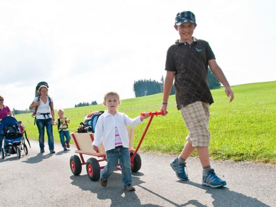 Die Wanderer können auf dem Pfaffenwinkler Milchweg viel Interessantes über Milch und Käse lernen