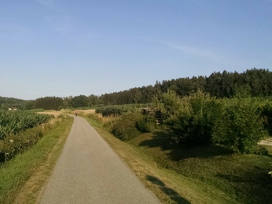 Radweg auf der ehemaligen Bahntrasse