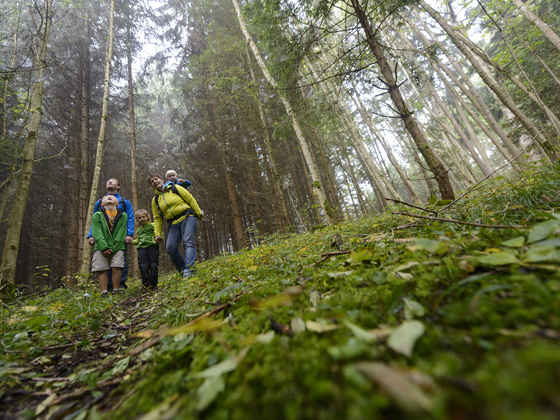 Stadt- und Waldrunde