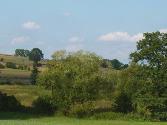 Am idyllischen Sulzbachtal