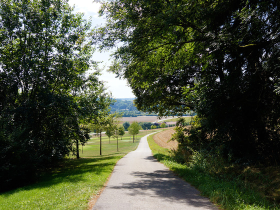 Ausschnitt aus der Runde