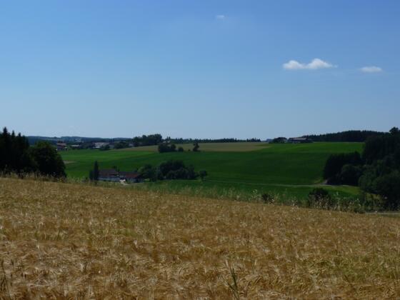 Blick ins Apfelbachtal