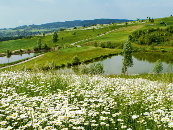 Blick auf den Bella Vista Golfpark