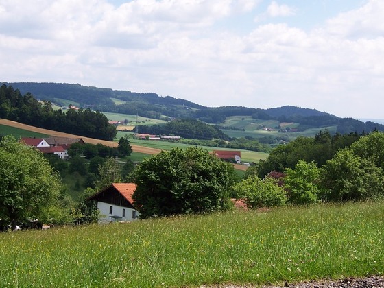 Blick vom Schellenberg