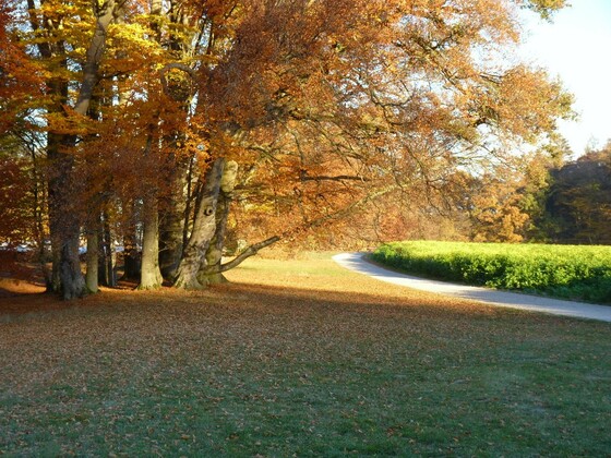 Am Schlosspark bei Schönau