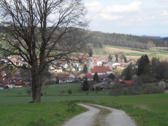 Blick auf Markt Triftern