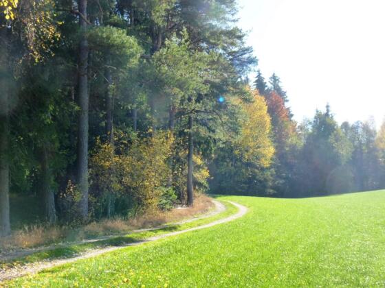 Wandern bei Schönau