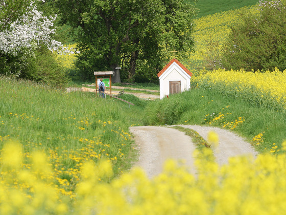 Der Weg von der Grund- und Mittelschule zur Bruder Konrad Kapelle