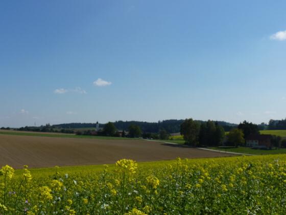 Blick auf Edermanning