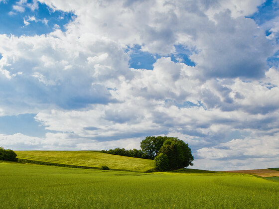 Ausschnitt aus der Tour