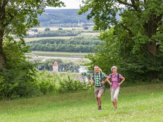 Oberndorfer Hänge bei Bad Abbach