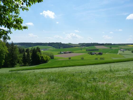 Blick ins Einbachtal