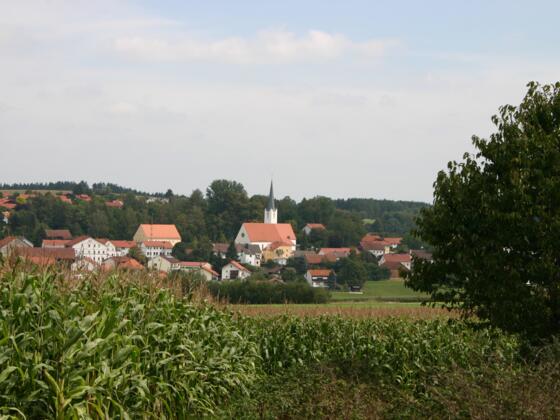 Bei Taufkirchen.