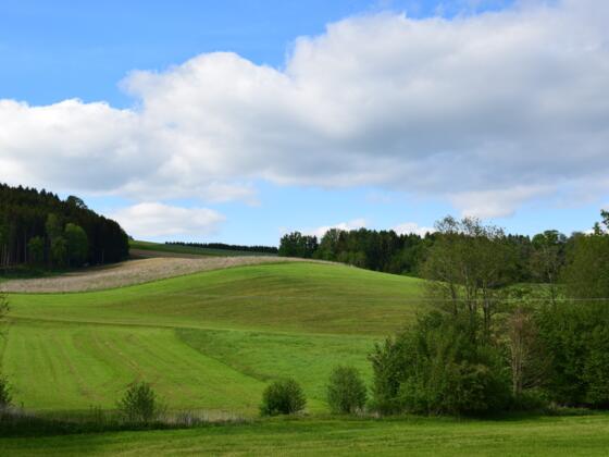 Landschaft Stubenberg