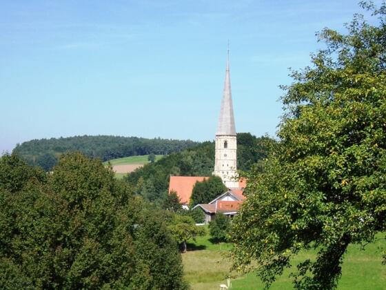 Blick auf die Wallfahrtskirche Taubenbach