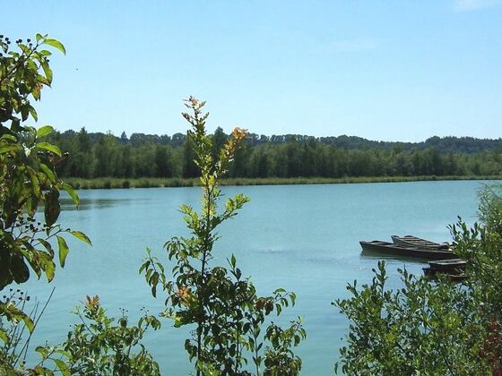 Am Inndamm am Europareservat Unterer Inn