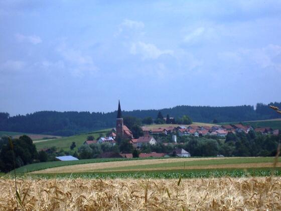 Blick auf Hirschhorn