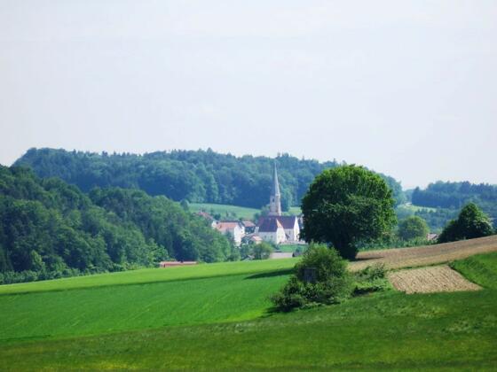 Blick auf die Wallfahrtskirche St. Alban in Taubenbach